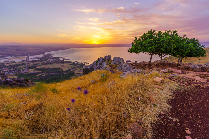 The Tombs of Gerasenes