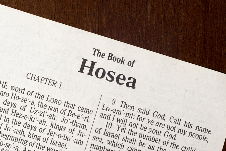 Hosea 8